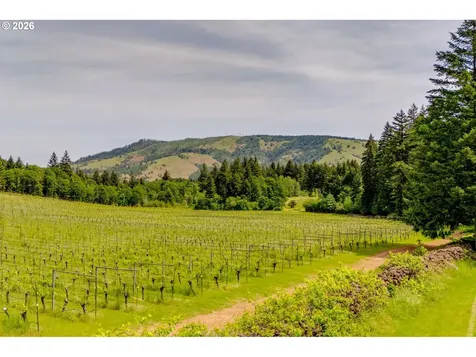 391 Newell Road Underwood WA 98651