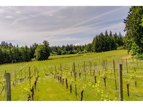 391 Newell Road Underwood WA 98651