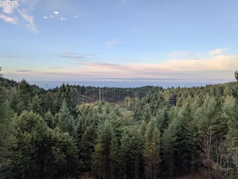 18950 Timeus Ranch Road Brookings OR 97415