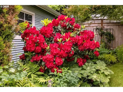 3723 NE 21st Avenue Portland OR 97212