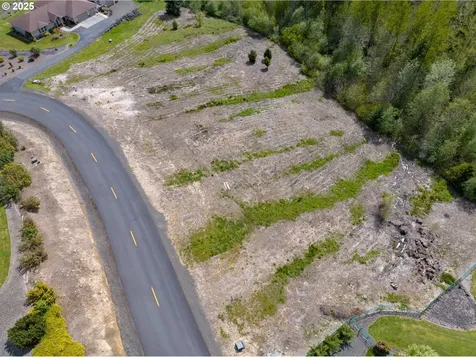 249 Basswood Drive Silver Lake WA 98645