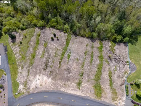 249 Basswood Drive Silver Lake WA 98645