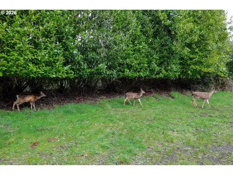 62885 Isthmus Heights Road Coos Bay OR 97420