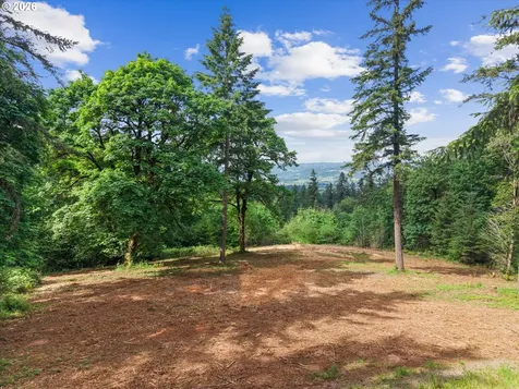 18755 NE Buena Vista Drive Dundee OR 97115
