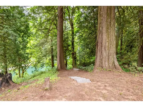 206 Sockeye Drive Woodland WA 98674