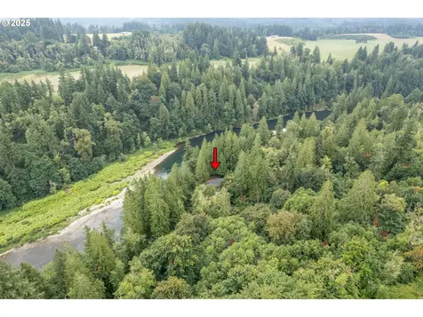 206 Sockeye Drive Woodland WA 98674