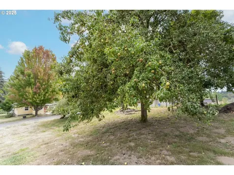 35706 NW 14th Avenue La Center WA 98629