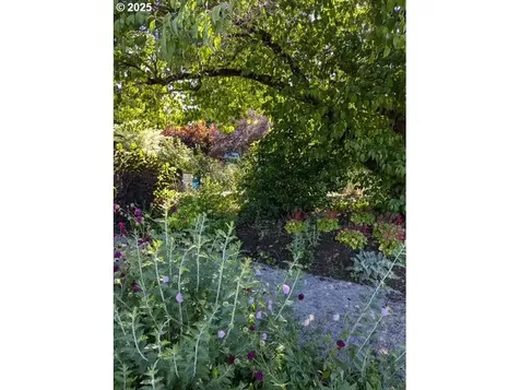 2445 SE 76th Avenue Portland OR 97206