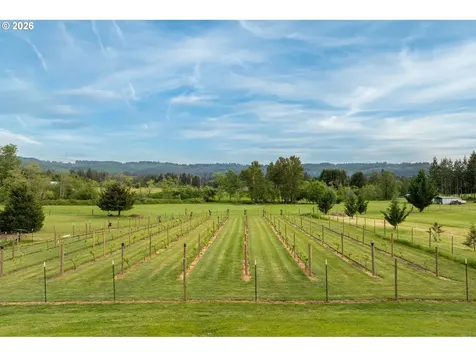 153 Glenhaven Drive Woodland WA 98674