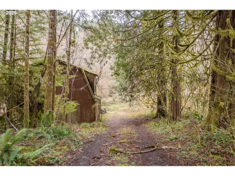 Alsea-deadwood Highway Alsea OR 97324