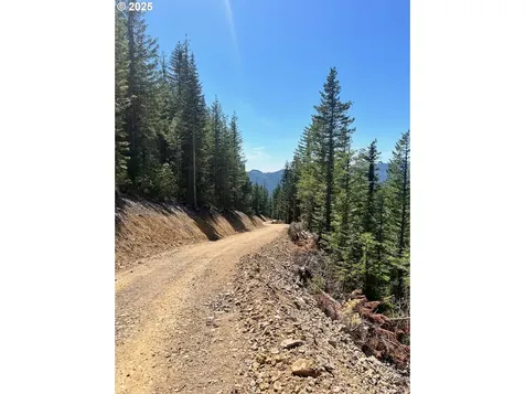 Skamania Mines Road Washougal WA 98671