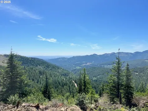Skamania Mines Road Washougal WA 98671
