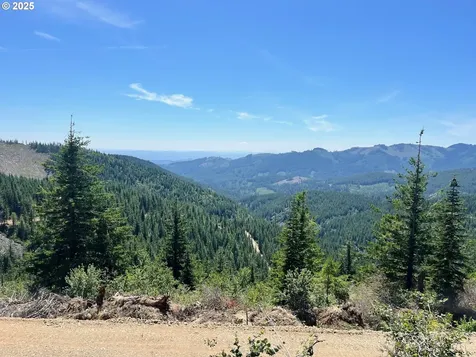 Skamania Mines Road Washougal WA 98671