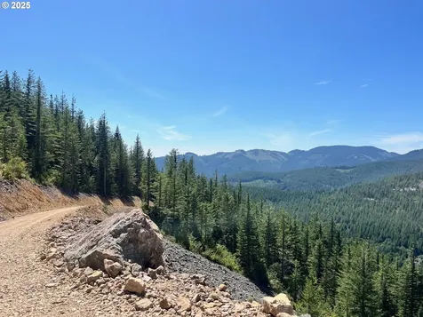 Skamania Mines Road Washougal WA 98671