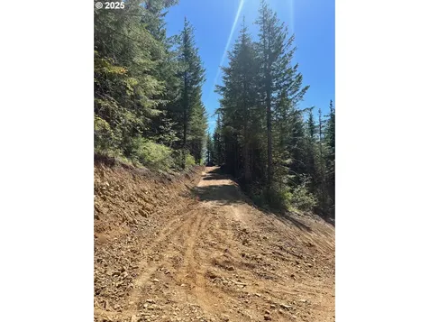 Skamania Mines Road Washougal WA 98671
