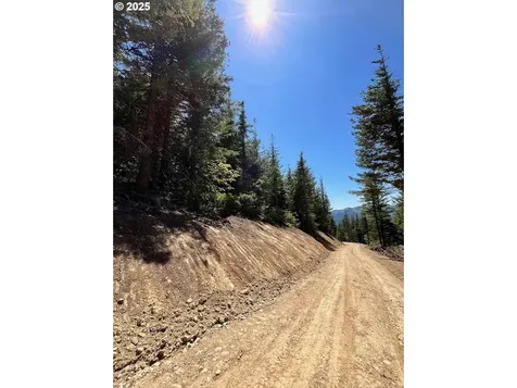 Skamania Mines Road Washougal WA 98671