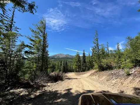 Skamania Mines Road Washougal WA 98671