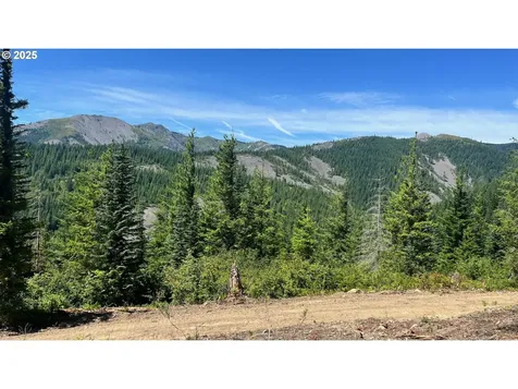 Skamania Mines Road Washougal WA 98671