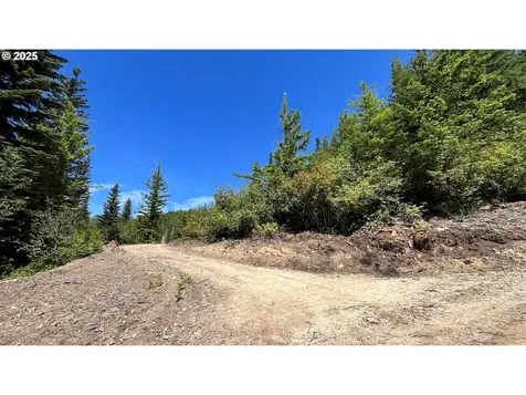 Skamania Mines Road Washougal WA 98671