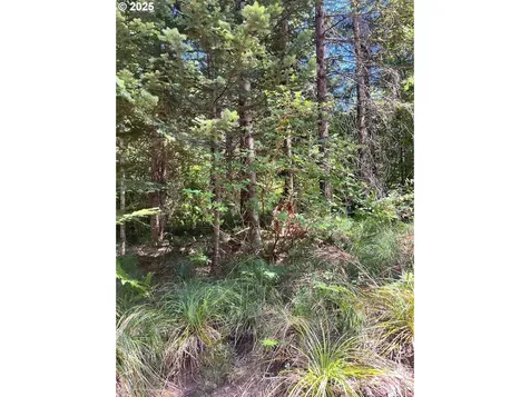 Skamania Mines Road Washougal WA 98671