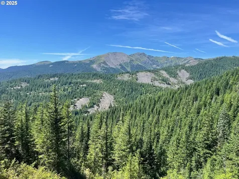 Skamania Mines Road Washougal WA 98671
