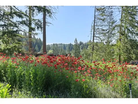 15780 SE 329th Avenue Boring OR 97009