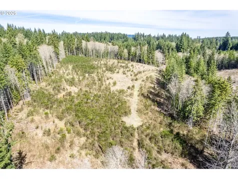 1319 Eufaula Heights Road Longview WA 98632