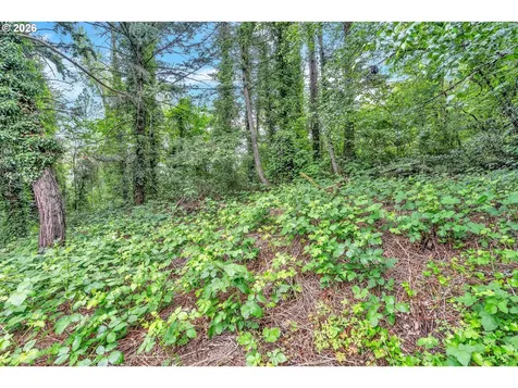 0 SE Tenino Court Happy Valley OR 97086