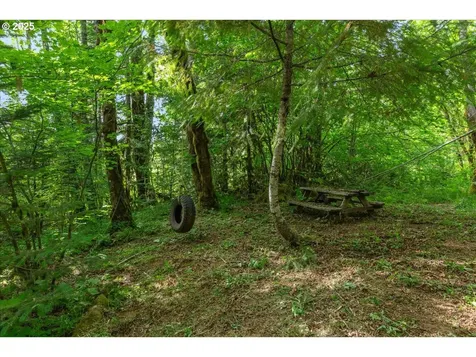 23175 SW Peavine Road Mcminnville OR 97128