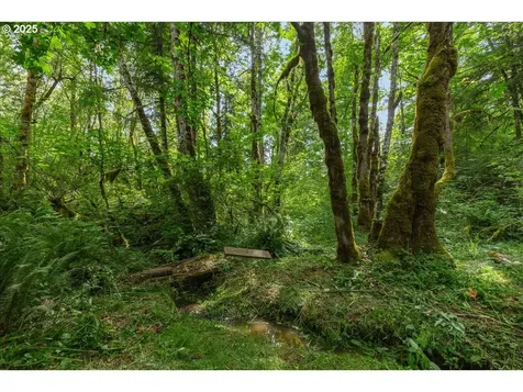 23175 SW Peavine Road Mcminnville OR 97128