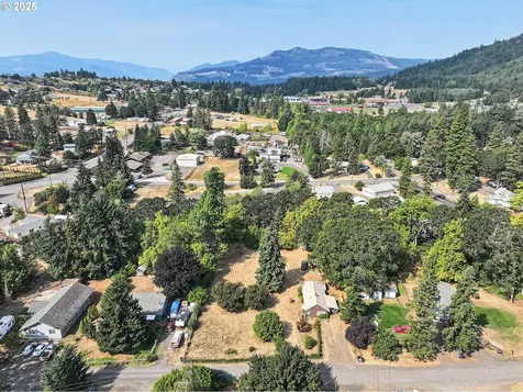 1034 S Indian Lane White Salmon WA 98672