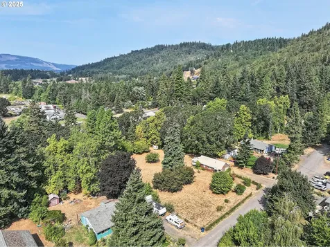 1034 S Indian Lane White Salmon WA 98672