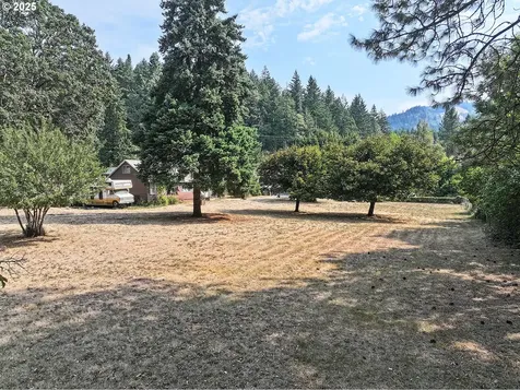1034 S Indian Lane White Salmon WA 98672