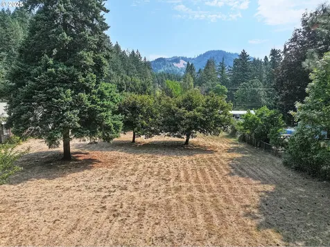 1034 S Indian Lane White Salmon WA 98672