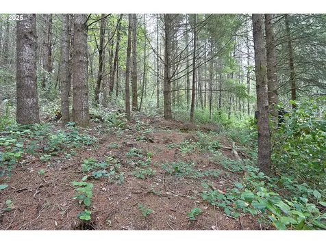 94845 Wind Song Lane North Bend OR 97459