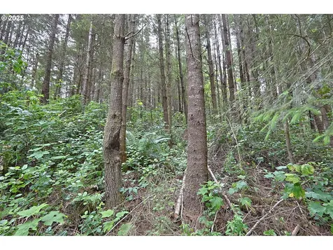 94845 Wind Song Lane North Bend OR 97459