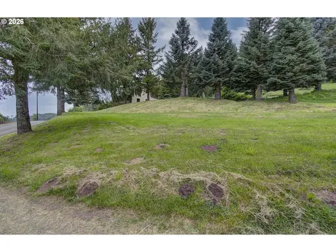 26810 NE 434th Street Amboy WA 98601