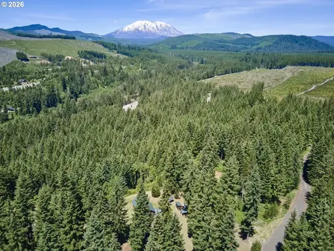 502 Loowit Lane Cougar WA 98616