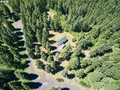 502 Loowit Lane Cougar WA 98616