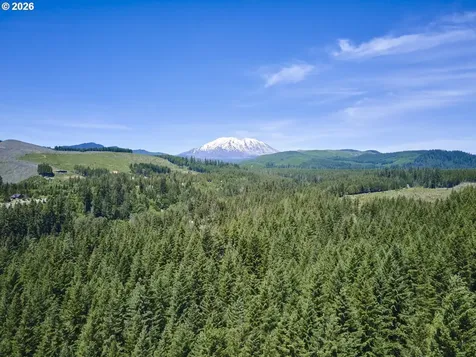 502 Loowit Lane Cougar WA 98616