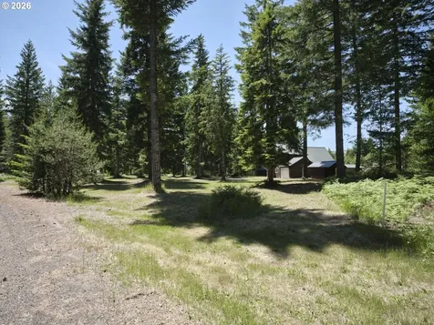502 Loowit Lane Cougar WA 98616
