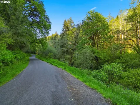 Upper North Fork Road Florence OR 97439