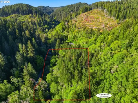 Upper North Fork Road Florence OR 97439