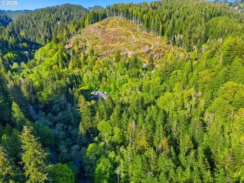 Upper North Fork Road Florence OR 97439
