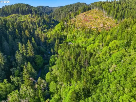 Upper North Fork Road Florence OR 97439