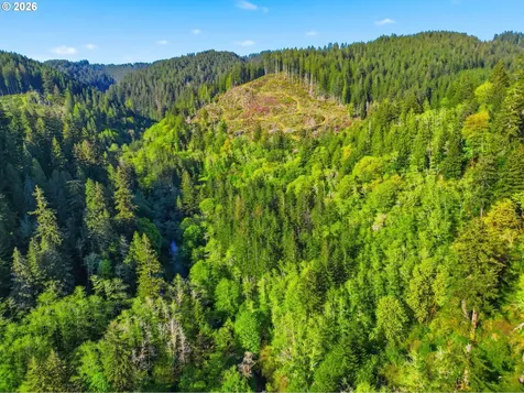 Upper North Fork Road Florence OR 97439
