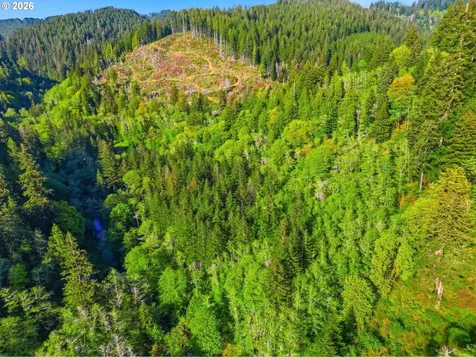 Upper North Fork Road Florence OR 97439