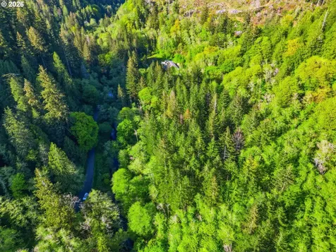 Upper North Fork Road Florence OR 97439