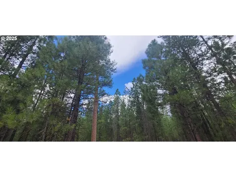 52328 Elderberry Court La Pine OR 97739