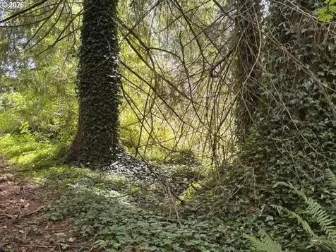 125 Village Road Mossyrock WA 98564